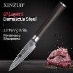 XINZUO 1-5 PCS Kitchen Knives Set VG10 Damascus Stainless Steel Sharp Chef Santoku Nakiri Slicing Paring Knife Pakkawood Handle
