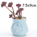 Pocelain Blue Fish Flower Vase European Style Cute Fleshy Flowerpot Mini Bonsai Cactus Flower Pot for Home Garden Home Decor