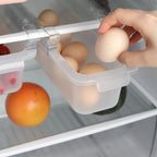 Kitchen Refrigerator Storage Rack Fridge Freezer Shelf Holder Pull-Out Drawer Space