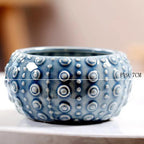 Pocelain Blue Fish Flower Vase European Style Cute Fleshy Flowerpot Mini Bonsai Cactus Flower Pot for Home Garden Home Decor