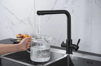 Black Filtered Kitchen Faucet Water Filter Kitchen Faucets Filter Faucet Mixer Water Purification Water Drinking Water Taps