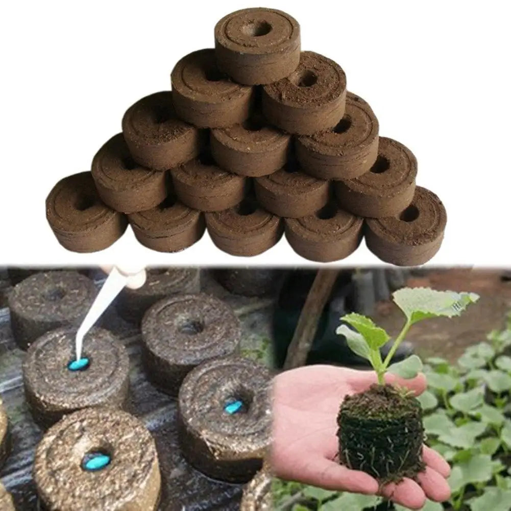 30mm Jiffy Peat Pellets Seed Starting Plugs Pallet Seedling Soil Block Poe Operations To Improve Efficiency Seedling Soil