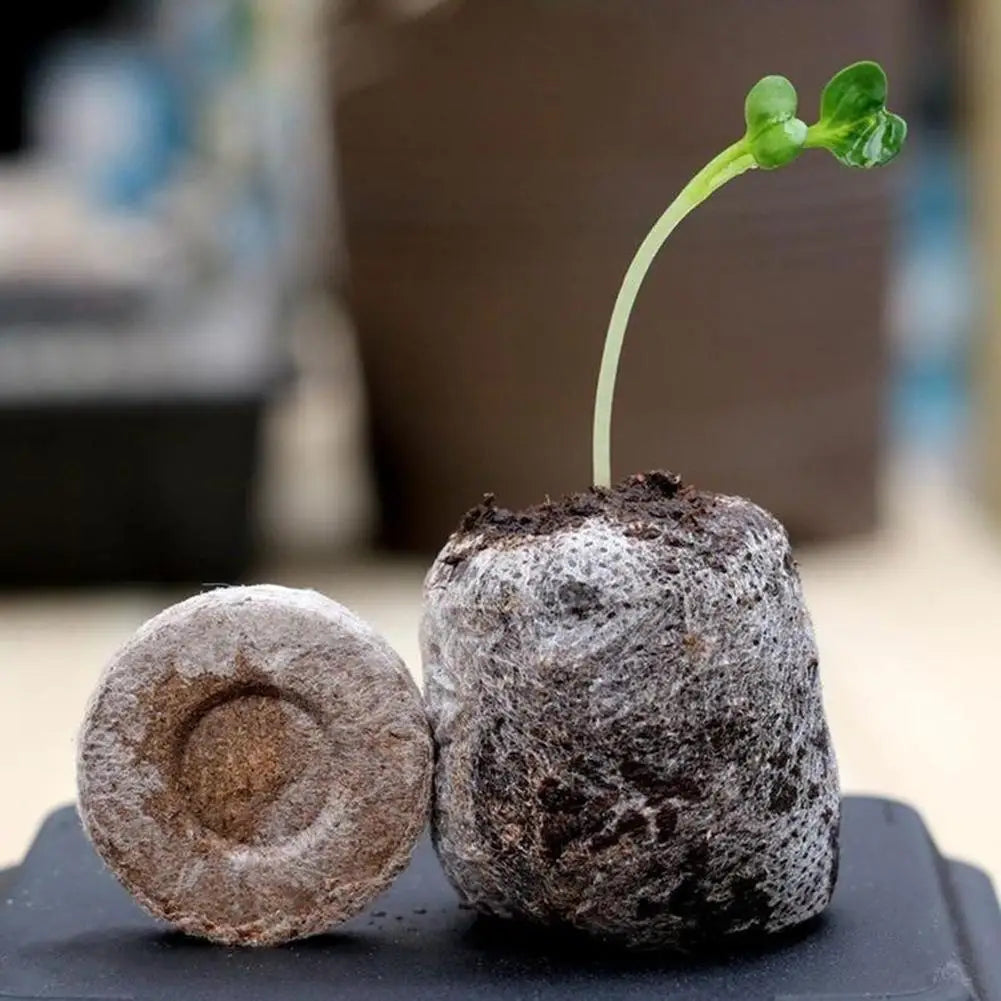 30mm Jiffy Peat Pellets Seed Starting Plugs Pallet Seedling Soil Block Poe Operations To Improve Efficiency Seedling Soil