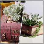 Mini Resin Book Design Flowerpot Bonsai Plant Container Desktop Decor Garden Balcony Office Decoration Gift Friends Indoor