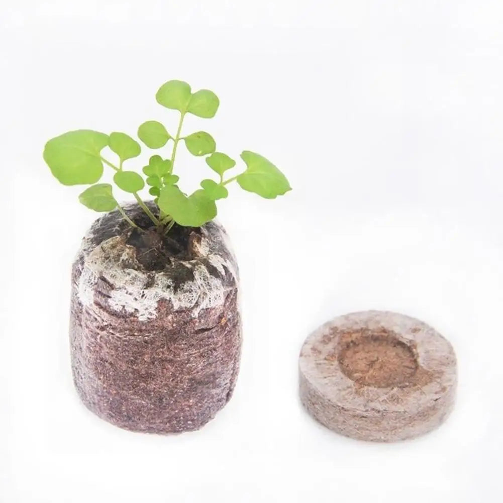 30mm Jiffy Peat Pellets Seed Starting Plugs Pallet Seedling Soil Block Poe Operations To Improve Efficiency Seedling Soil