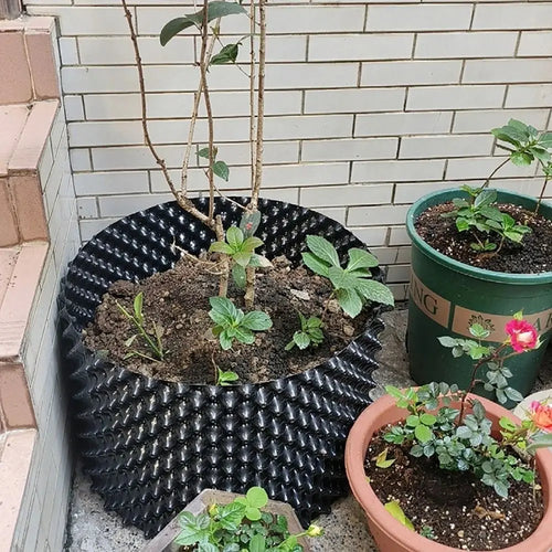 Air Pruning Plant Root Control Nursery Pots Trainer Fast Root Grow Container Garden Tree Bonsai Transplant Tool Fast Nersery Pot