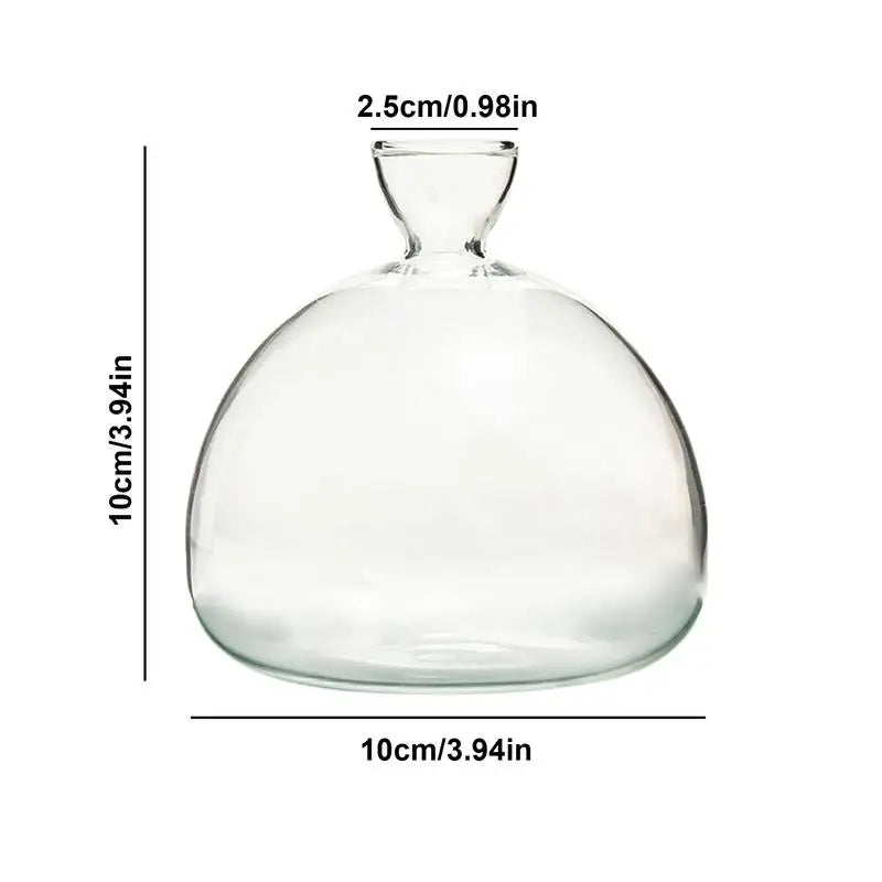 Avocado Hydroponic Vase Seed Cultivation Containers For Avocado Pits Vase For Transparent High Borosilicate Glassware