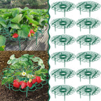 10Pcs Strawberry Supports Strawberry Frame Holder Balcony Planting Rack Plant Flower Stand for Home Garden Decor Supplies