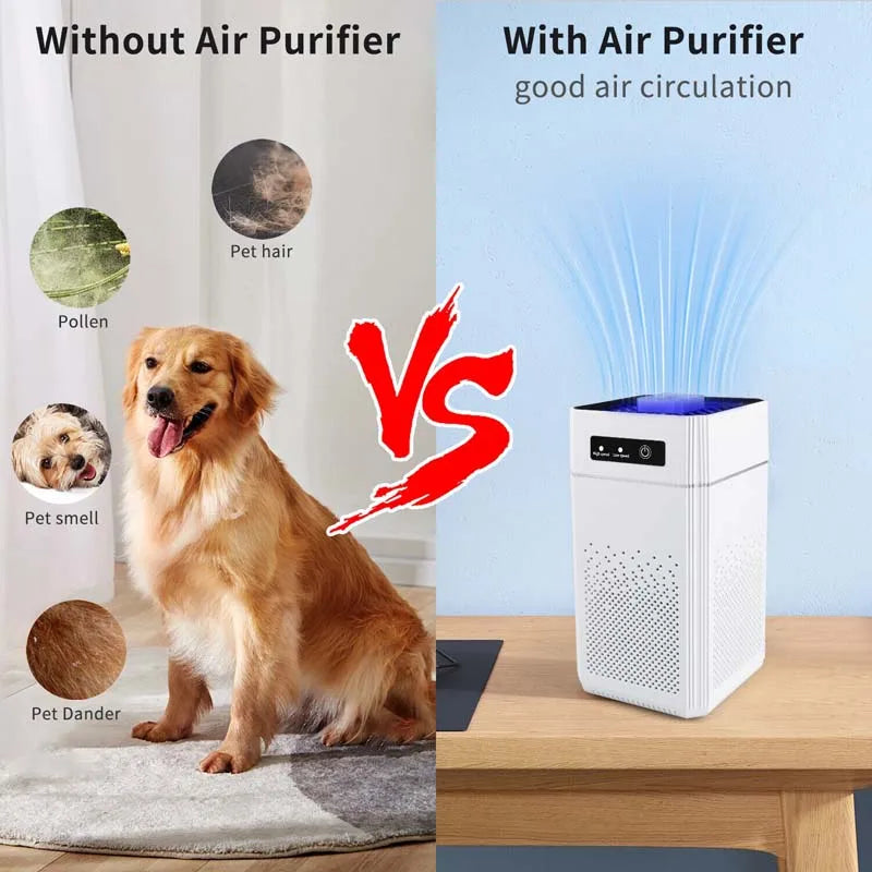 Professional home air purifier for removing formaldehyde odor and rele