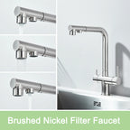 Rozin Water Purifier Kitchen Faucet Black Pull Out Flexible Filter Kitchen Faucets Crane Brass 2 in 1 Hot Cold Water Mixer Tap