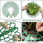Strawberry Support Farming Supplies Mini Greenhouse Accessories Vegetable Garden Items Plant Protector Greenhouse for Plants