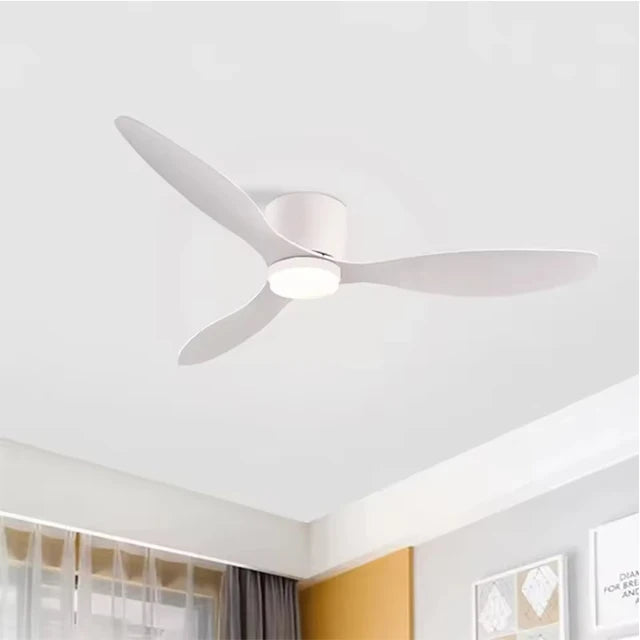 Modern LED Ceiling Fan Lights Low Floor Decorative Lights with Remote