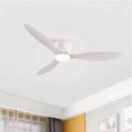 Modern LED Ceiling Fan Lights Low Floor Decorative Lights with Remote