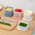 Kitchen Fridge Two - layer Mini Storage Box Refrigerator Organizer