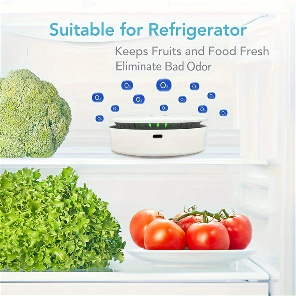 Portable Air Purifier Negative Ion And Ozone Generator Rechargeable Pu