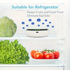 Portable Air Purifier Negative Ion And Ozone Generator Rechargeable Pu