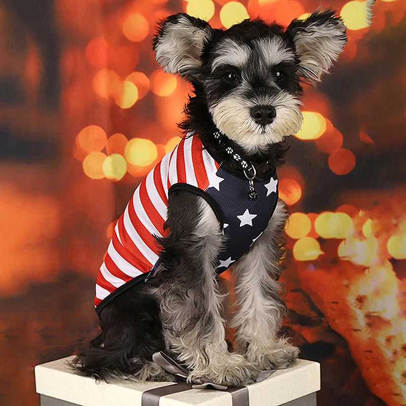 Adjustable American Flag Dog Bandana & Bow Tie Set - Patriotic Pet Scarf for Small to Large Dogs & Cats | AlluCanFind