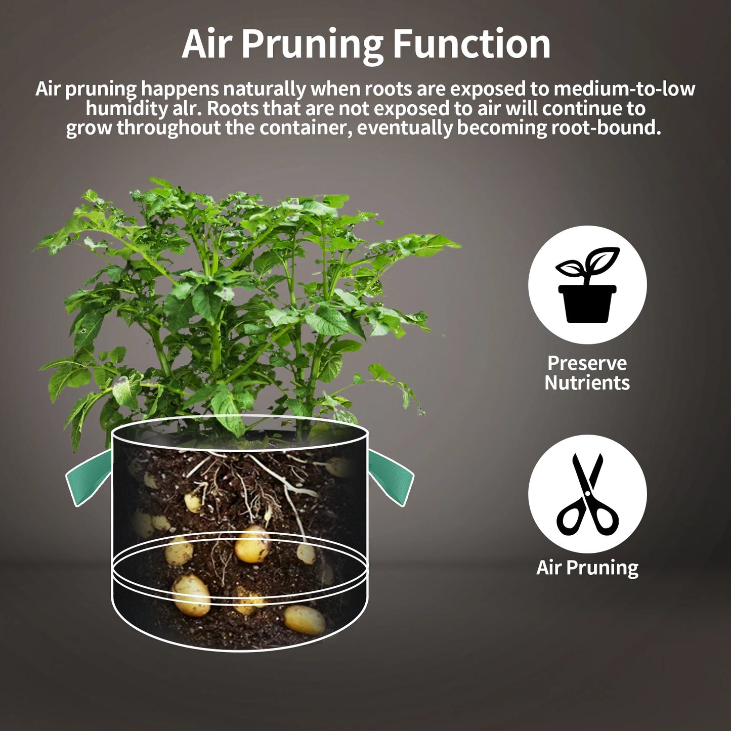 5-Pack 5Gallon Plant Grow Bags Heavy Duty Thickened Nonwoven Fabric Pots with Handles for Vegetable Flower Potato Garden Bags