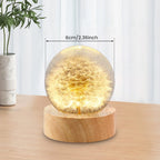3D Dandelion Crystal Ball LED Night Light with Beech Wood Stand Preserved Flower Sphere Ball Resin Craft Home Decor Bithday Gift