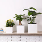 Self-Watering Planter Pots with Water Level Meter Pots Self-Absorbent Planter Plant Pot Plant Container Home Office Decor