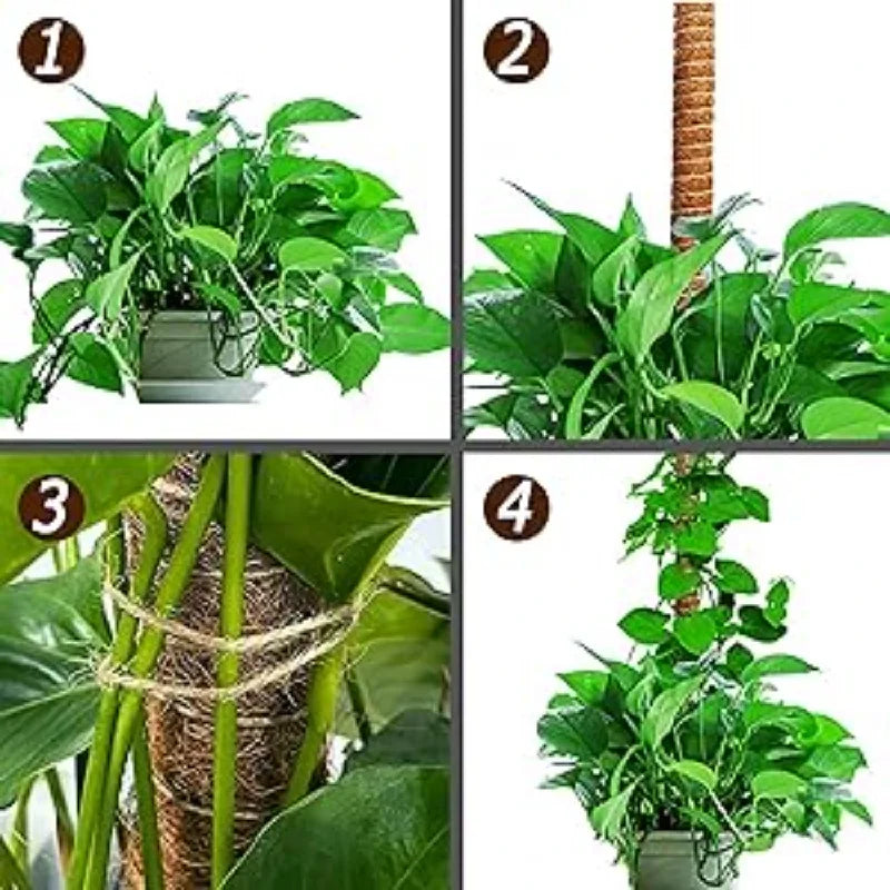 80cm Bendable Coco Coir Moss Pole Plant Cage Climbing Pole Plant Support Extension for Monstera Plant To Grow Upward Garden
