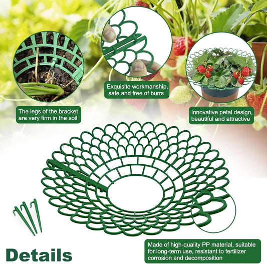 Strawberry Support Farming Supplies Mini Greenhouse Accessories Vegetable Garden Items Plant Protector Greenhouse for Plants