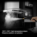 3500W Commercial Household Steam Cleaner Air Conditioning Kitchen Range Hood Automotive Steam Cleaner and Alkaline Cleaning