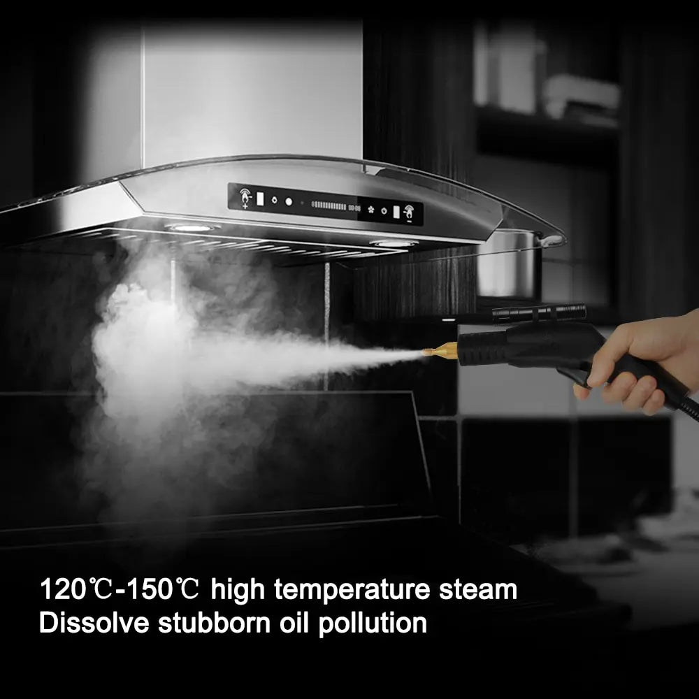 3500W Commercial Household Steam Cleaner Air Conditioning Kitchen Range Hood Automotive Steam Cleaner and Alkaline Cleaning