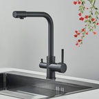 Pure Water Kitchen Faucet Chrome Stainless Steel Dual handle Hot Cold Water Mixer Tap Filtered Deck Mounted Torneira Crane Tap