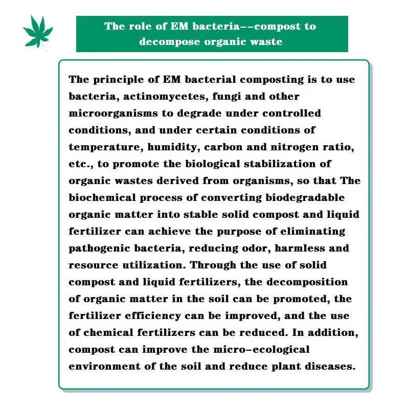 Special Accelerated Fermentation Decomposing Organic Waste Fruits and Vegetables, Bokashi Compost, 120ml