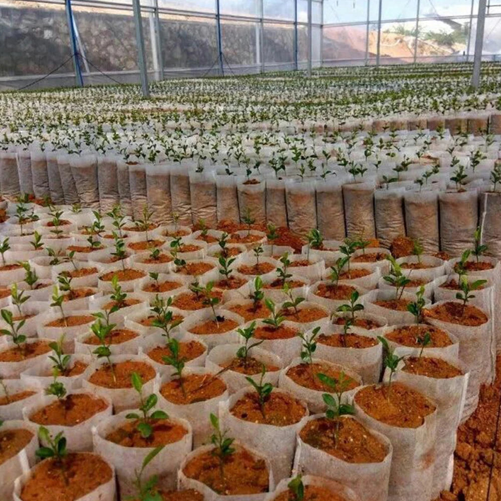 Biodegradable Nursery Grow Bag Non-Woven Plant Cultivation Pouch for Agriculture Greenhouse Vegetable Flower Seedlings Container
