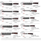Kitchen Knives Set 10pcs Professional Chef Knives 7CR17 440C High Carbon Stainless Steel Sharp Santoku Boning Knife Gift Case Se