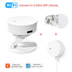 ZigBee Wifi MmWave Human Presence Motion Sensor Radar Wave Human Detector Motion Detector Tuya Hub Smart Life Home Automation