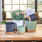 Self Watering Plant Pots Automatic Plastic Flowerpot Bottom Watering Planters with Saucer for Indoor Outdoor Plants Garden Decor