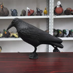 Crow Hunting Decoys Garden Bird Practical Deter Scarer Scarecrow Mice Pest Control Deterrent Repeller Decor For Bird Control