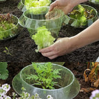 5/10/20pcs Slug Protection Vegetables Covers Plant Snail Collar Guard Garden