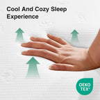 Comfort Memory Foam Mattress, 10 Inch Mattress with High-Density Support Foam for Pressure Relief & Contour Support Mattresses