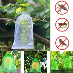 50/100pcs Grape Protection Bag Grow Bag Mesh Fruit Pest Control Products Breathable Gauze Strawberry Seedling Bags Organza