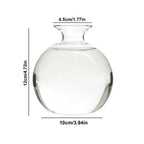 Avocado Hydroponic Vase Seed Cultivation Containers For Avocado Pits Vase For Transparent High Borosilicate Glassware