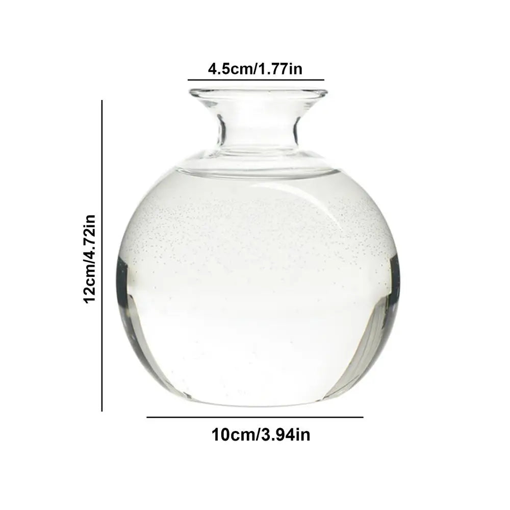 Avocado Hydroponic Vase Seed Cultivation Containers For Avocado Pits Vase For Transparent High Borosilicate Glassware