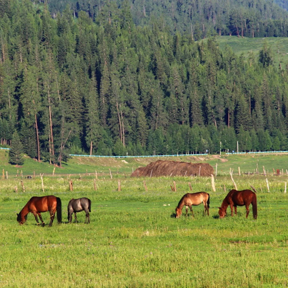 200/500M Roll Electric Fence Rope Polywire with Steel Poly Rope for Horse Animal Fencing Ultra Low Resistance Wire and Accessory