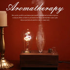 Aroma Diffuser Vintage Tungsten Filament Lamp Aromatherapy Machine Hum