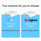 Tuya WiFi / Zigbee Human Presence Detector, Luminance/Distance Detection, Smart Human Body PIR Sensor 24G Support Home Assistant