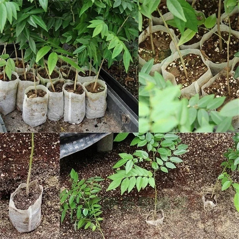 100-200Pcs Nursery Bags Plant Grow Bags Biodegradable Non-woven Fabric Seeds To Sow Flower Pot For Home Garden Accessories Tools