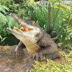 Creative White Shark Garden Art Statue Resin Lifelike White Shark Head Crocodile Sculpture Wall Hanging Home Yard Garden Decor