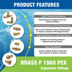 KING SMART  F1960/Wisbo/PEX A Expansion PEX 3/4" * 3/4" Female NPT Straight Female Adapter; 6Pcs/Case; Lead Free Brass; 80261