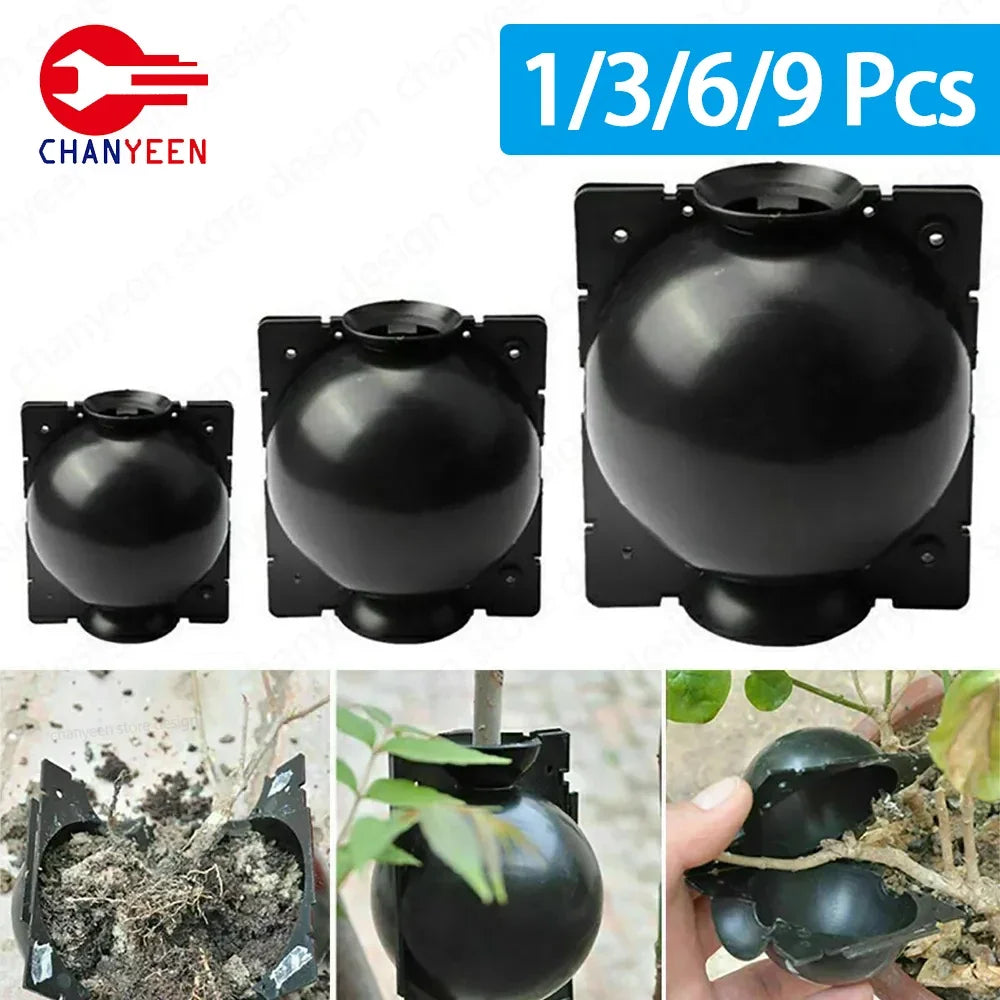 1/3/6/9Pcs Plant Rooting Ball Transplant Nursery Ball Sapling Propagation Grafting Breeding Case for Home Gardening Tools