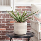 Round Ceramic Planter with Drainage Holes Sturdy Grooved Indoor Pot Succulents Flowers Houseplants Home Decor