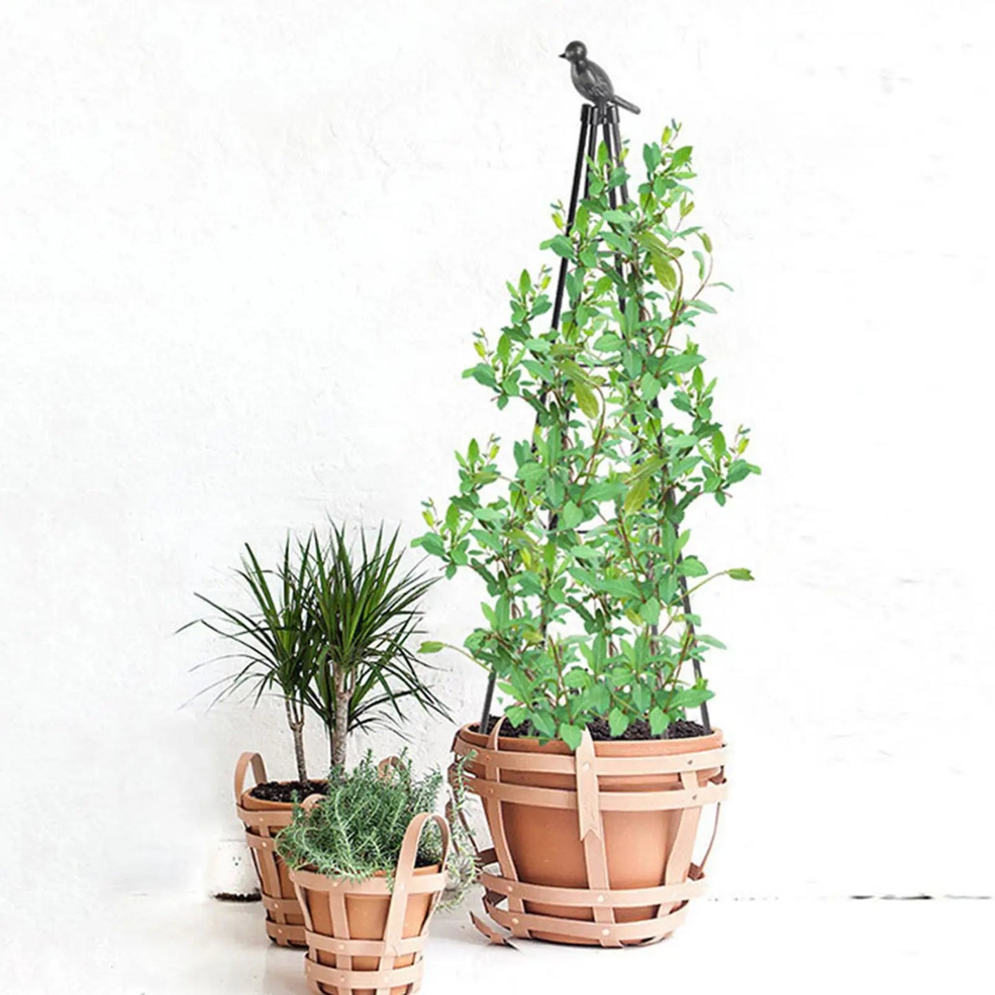 160cm Metal Garden Obelisk Trellis Plant Climbing Frame Climbing Plant Support with Bird Sculpture Weather-Proof Easy to Install