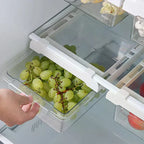 Kitchen Storage Box Fruit Vegetable Preservation Organizer Transparent Egg Container Under-shelf Refrigerator Drawer